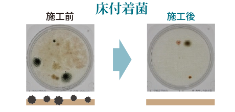 床付着菌施工実験