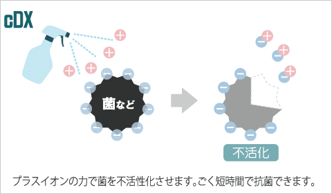 cDXはプラスイオンの力で菌を不活性化刺せます。ごく短時間で抗菌できます