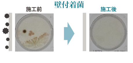 壁付着菌施工実験